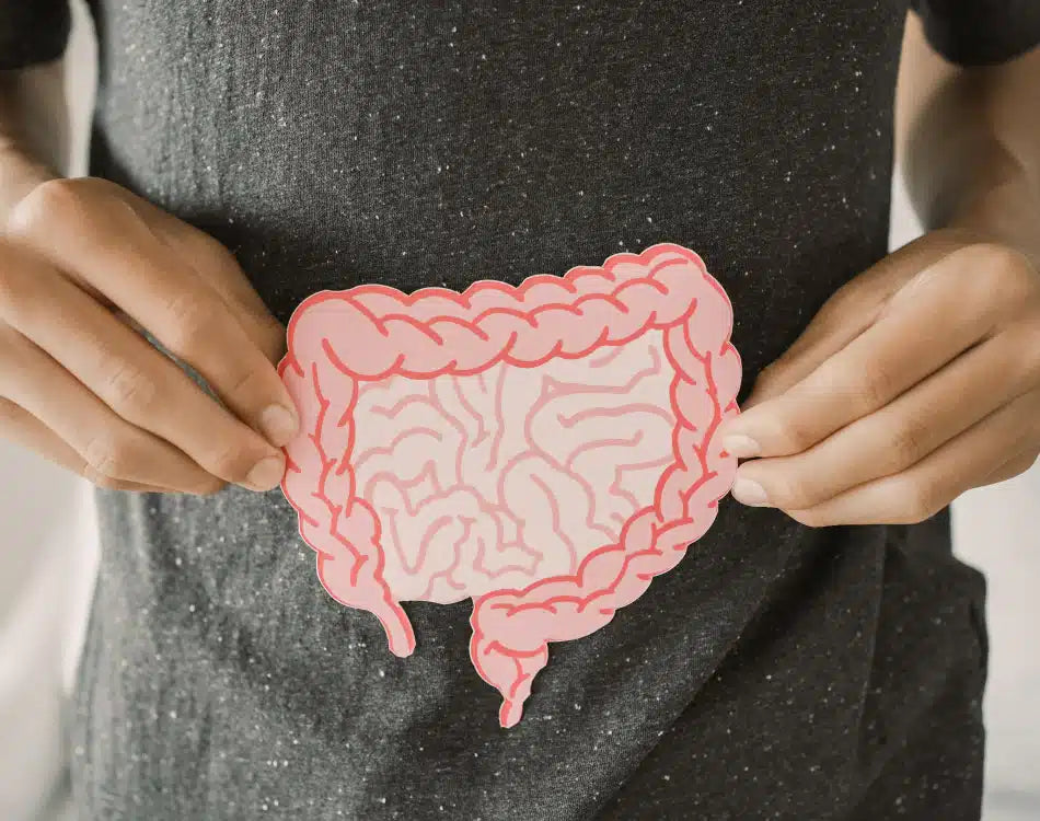6 Steps To Improve Your Gut Health