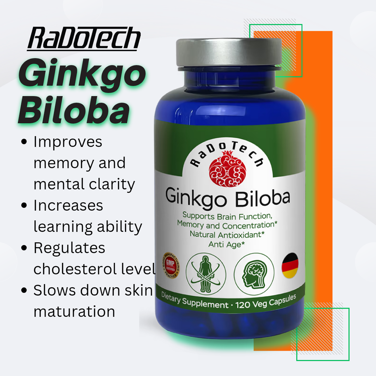 Ginkgo Biloba