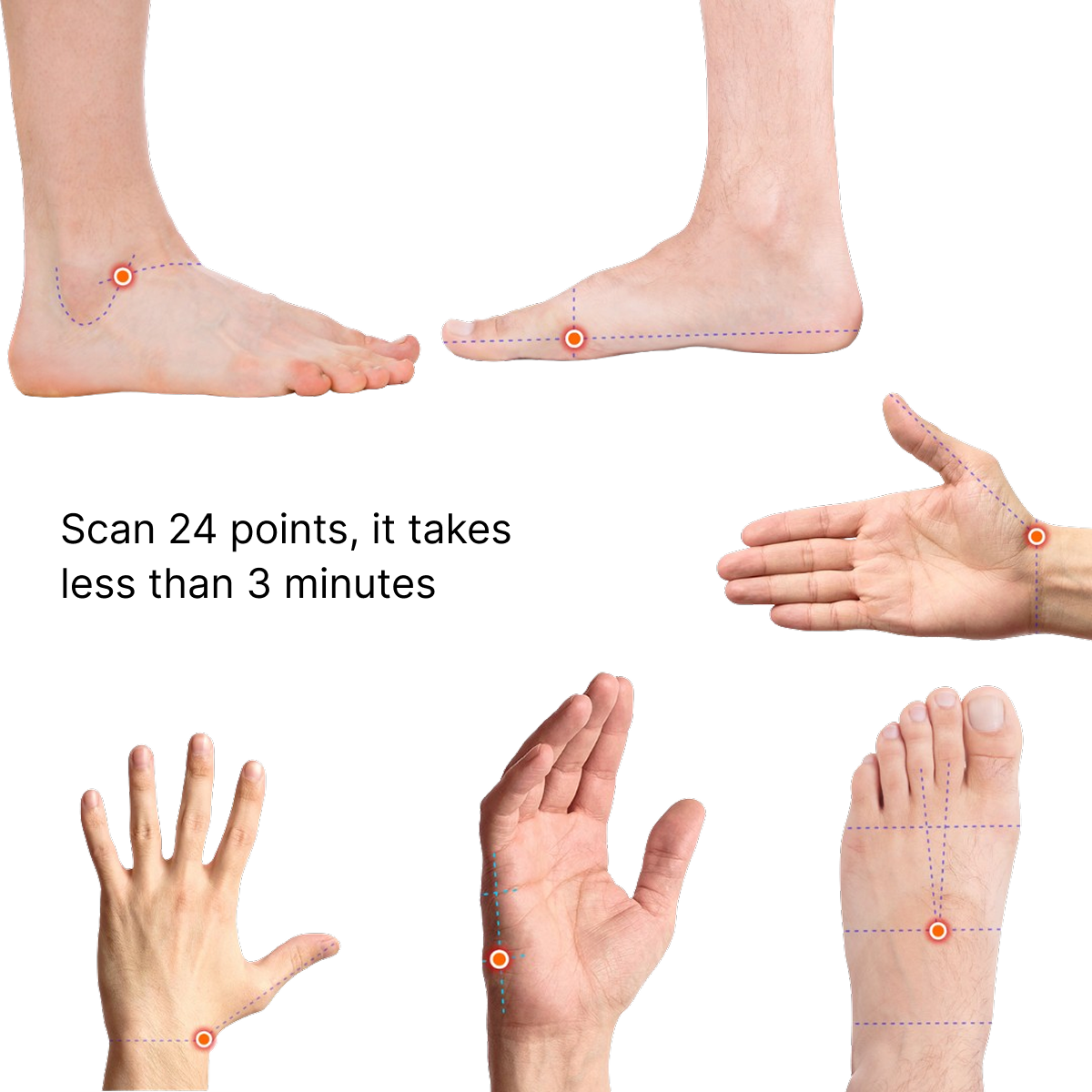 compléments naturels immunité